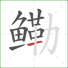 鳓的笔顺第16画:横 鳓的笔顺第16画:横