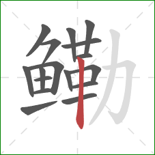 鳓的笔顺第17画:竖 鳓的笔顺第17画:竖