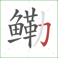 鳓的笔顺第18画:横折钩 鳓的笔顺第18画:横折钩