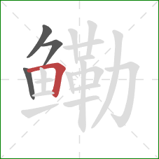 鳓的笔顺第4画:横折 鳓的笔顺第4画:横折