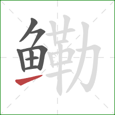 鳓的笔顺第8画:提 鳓的笔顺第8画:提