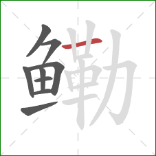 鳓的笔顺第9画:横 鳓的笔顺第9画:横