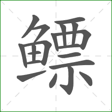 鳔的部首 鳔的部首