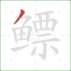 鳔的笔顺第1画:撇 鳔的笔顺第1画:撇