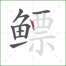 鳔的笔顺第10画:竖 鳔的笔顺第10画:竖