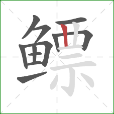 鳔的笔顺第12画:竖 鳔的笔顺第12画:竖