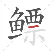 鳔的笔顺第15画:横 鳔的笔顺第15画:横