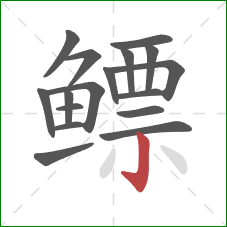 鳔的笔顺第17画:竖钩 鳔的笔顺第17画:竖钩