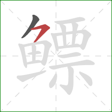 鳔的笔顺第2画:横撇 鳔的笔顺第2画:横撇