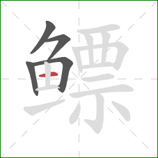 鳔的笔顺第5画:横 鳔的笔顺第5画:横