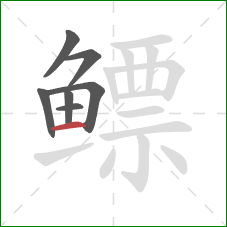 鳔的笔顺第7画:横 鳔的笔顺第7画:横