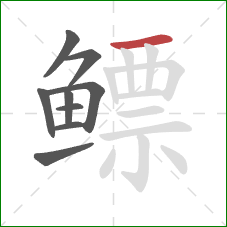 鳔的笔顺第9画:横 鳔的笔顺第9画:横