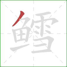 鳕的笔顺第1画:撇 鳕的笔顺第1画:撇