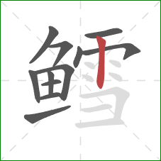 鳕的笔顺第12画:竖 鳕的笔顺第12画:竖