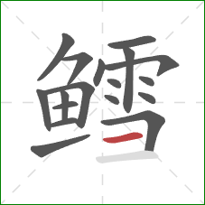 鳕的笔顺第18画:横 鳕的笔顺第18画:横