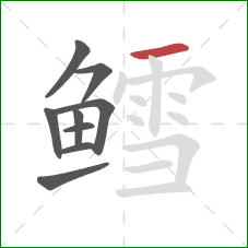 鳕的笔顺第9画:横 鳕的笔顺第9画:横