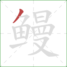 鳗的笔顺第1画:撇 鳗的笔顺第1画:撇