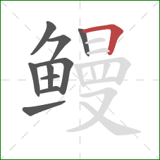 鳗的笔顺第10画:横折 鳗的笔顺第10画:横折