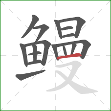 鳗的笔顺第17画:横 鳗的笔顺第17画:横