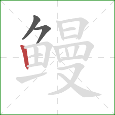 鳗的笔顺第3画:竖 鳗的笔顺第3画:竖
