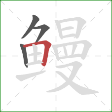 鳗的笔顺第4画:横折 鳗的笔顺第4画:横折