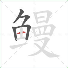 鳗的笔顺第5画:横 鳗的笔顺第5画:横