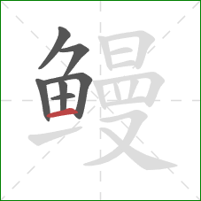 鳗的笔顺第7画:横 鳗的笔顺第7画:横