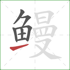 鳗的笔顺第8画:提 鳗的笔顺第8画:提