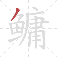 鳙的笔顺第1画:撇 鳙的笔顺第1画:撇