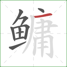 鳙的笔顺第10画:横 鳙的笔顺第10画:横