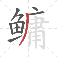 鳙的笔顺第11画:撇 鳙的笔顺第11画:撇