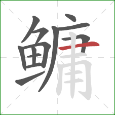 鳙的笔顺第13画:横 鳙的笔顺第13画:横