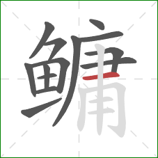 鳙的笔顺第14画:横 鳙的笔顺第14画:横