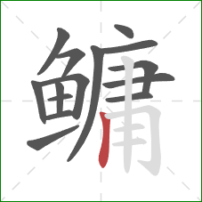 鳙的笔顺第15画:竖 鳙的笔顺第15画:竖