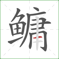 鳙的笔顺第17画:横 鳙的笔顺第17画:横