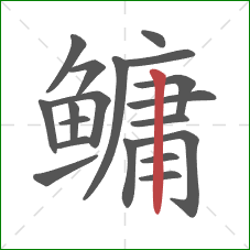 鳙的笔顺第19画:竖 鳙的笔顺第19画:竖