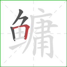 鳙的笔顺第4画:横折 鳙的笔顺第4画:横折