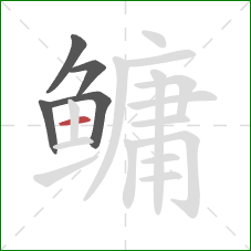 鳙的笔顺第5画:横 鳙的笔顺第5画:横