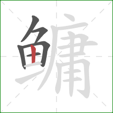 鳙的笔顺第6画:竖 鳙的笔顺第6画:竖