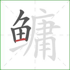 鳙的笔顺第7画:横 鳙的笔顺第7画:横