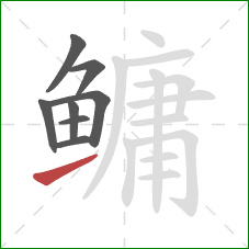 鳙的笔顺第8画:提 鳙的笔顺第8画:提