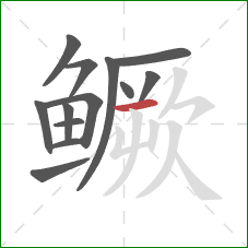 鳜的笔顺第13画:横 鳜的笔顺第13画:横