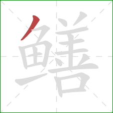 鳝的笔顺第1画:撇 鳝的笔顺第1画:撇