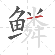 鳞的笔顺第11画：横