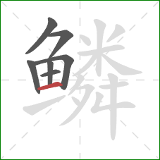 鳞的笔顺第7画：横
