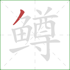 鳟的笔顺第1画:撇 鳟的笔顺第1画:撇