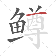 鳟的笔顺第11画:横 鳟的笔顺第11画:横