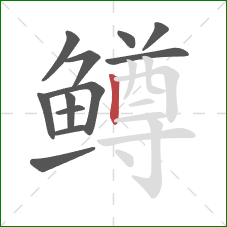 鳟的笔顺第12画:竖 鳟的笔顺第12画:竖