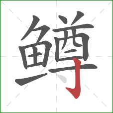 鳟的笔顺第19画:竖钩 鳟的笔顺第19画:竖钩