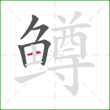 鳟的笔顺第5画:横 鳟的笔顺第5画:横